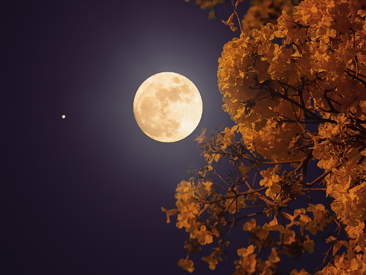 Full Moon in Pisces — September 26, 2026: A Time to Wake Up
