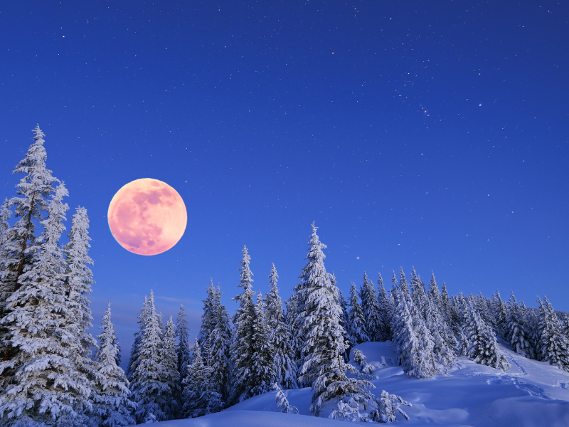 Full Moon in Cancer (Ashlesha) on Feb 1st 2026
